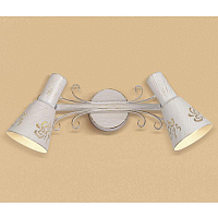 Купить Спот Citilux Дункан CL529522 в Туле