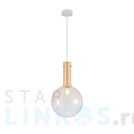 Купить Подвесной светильник Favourite Alba 4102-1P за 18 200 руб. в Туле фото 2 Купить с доставкой Подвесной светильник Favourite Alba 4102-1P в Туле фото 2