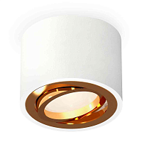 Купить Комплект накладного светильника Ambrella light Techno Spot XS7510004 SWH/PYG белый песок/золото желтое полированное (C7510, N7004) в Туле