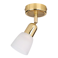 Купить Спот Escada 5039/1PA в Туле