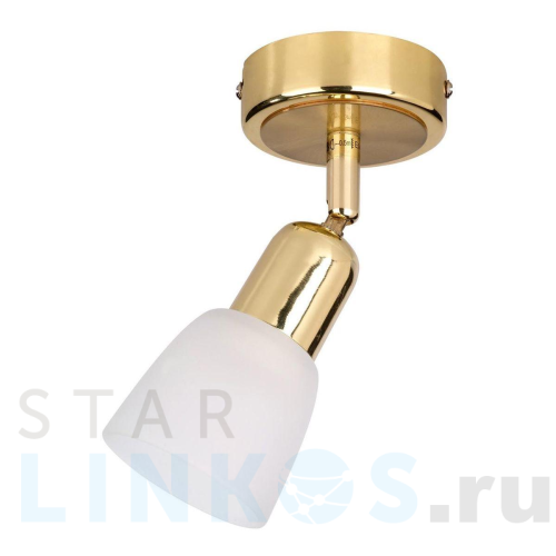 Купить Спот Escada 5039/1PA за 1 340 руб. в Туле Купить с доставкой Спот Escada 5039/1PA в Туле