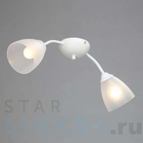 Купить Потолочная люстра Vitaluce V3737-0/2PL за 1 819 руб. в Туле Купить с доставкой Потолочная люстра Vitaluce V3737-0/2PL в Туле