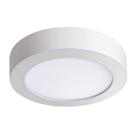 Купить Потолочный светодиодный светильник Kanlux CARSA V2LED 12W-NW-W 28948 в Туле