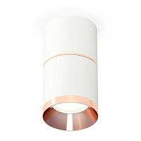 Купить Комплект потолочного светильника Ambrella light Techno Spot XS (C7401, A2073, C7401, N7035) XS7401221 в Туле