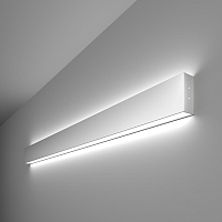 Купить Настенный светодиодный светильник Elektrostandard LSG-02-2-8 103-32-6500-MS a041470 в Туле