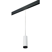 Купить Трековый светильник Lightstar Rullo (214486+595857+203437) PRORP4863437 в Туле