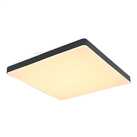 Купить Потолочный светодиодный светильник Globo Raina 48296B в Туле