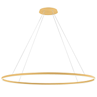 Купить Подвесной светодиодный светильник Kink Light Тор 08218,33(3000K) в Туле