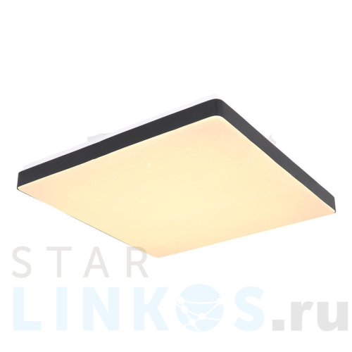 Купить Потолочный светодиодный светильник Globo Raina 48296B за 11 620 руб. в Туле Купить с доставкой Потолочный светодиодный светильник Globo Raina 48296B в Туле