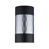 Купить Потолочный светильник Elektrostandard Mizar DLN110 GU10 черный/серебро a047745 в Туле