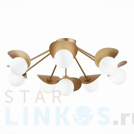 Купить Потолочная люстра Evoluce Bolzano SLE220502-08 за 17 280 руб. в Туле фото 2 Купить с доставкой Потолочная люстра Evoluce Bolzano SLE220502-08 в Туле фото 2
