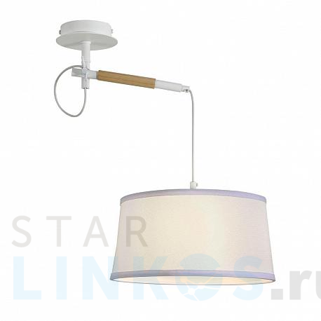 Купить Подвесной светильник F-Promo Eureka 3005-1P за 8 700 руб. в Туле фото 2 Купить с доставкой Подвесной светильник F-Promo Eureka 3005-1P в Туле фото 2