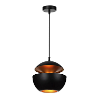 Купить Подвесной светильник Loft IT Apple LOFT2212-B в Туле