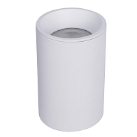 Купить Потолочный светильник Maytoni Technical Zoom C029CL-01-S-W в Туле