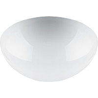 Купить Настенно-потолочный светильник Feron НБП 06-60-002 41402 в Туле