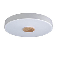 Купить Потолочный светодиодный светильник Loft IT Axel 10003/24 white в Туле