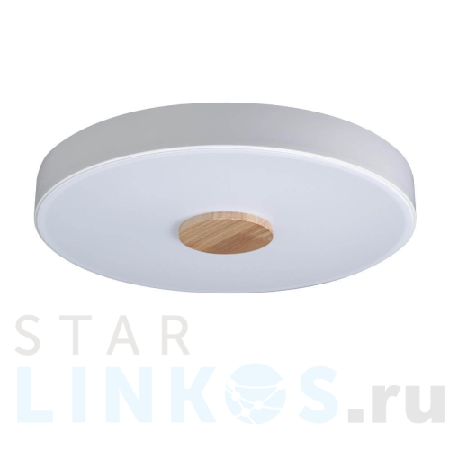 Купить с доставкой Потолочный светодиодный светильник Loft IT Axel 10003/24 white в Туле