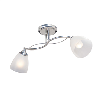 Купить Потолочная люстра Vitaluce V3943-9/2PL в Туле