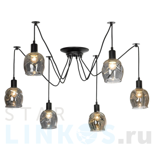 Купить Подвесная люстра Lussole Lgo Shirley LSP-8436 за 9 281 руб. в Туле Купить с доставкой Подвесная люстра Lussole Lgo Shirley LSP-8436 в Туле