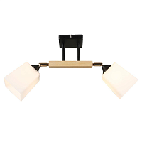 Купить Потолочная люстра IMEX MD.4720-2-S BK+FGD в Туле