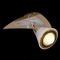 Купить Спот Reluce 00640-0.3-01DA SWT+FGD в Туле