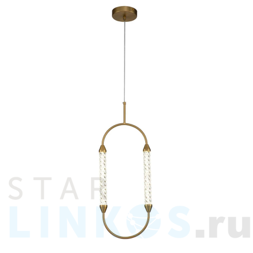 Купить Подвесной светодиодный светильник Indigo Ellisse 14005/1PGold V000028L за 14 680 руб. в Туле Купить с доставкой Подвесной светодиодный светильник Indigo Ellisse 14005/1PGold V000028L в Туле