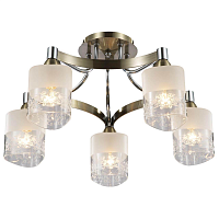 Купить Потолочная люстра Freya Tasmania FR5475CL-05CH в Туле