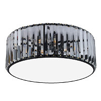 Купить Потолочная люстра Gerhort G21106/4BK+WT+CL в Туле