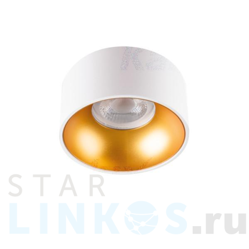 Купить с доставкой Точечный светильник Kanlux MINI RITI GU10 W/G 27576 в Туле