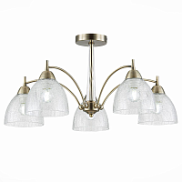 Купить Потолочная люстра Evoluce Nuele SLE104402-05 в Туле