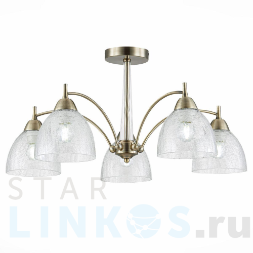 Купить Потолочная люстра Evoluce Nuele SLE104402-05 за 13 590 руб. в Туле Купить с доставкой Потолочная люстра Evoluce Nuele SLE104402-05 в Туле