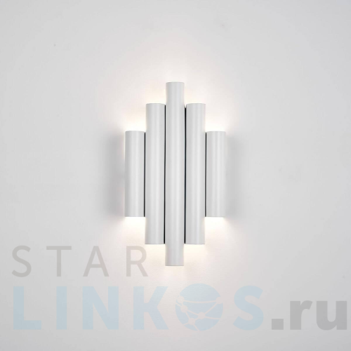 Купить с доставкой Настенный светодиодный светильник Favourite Tubulis 4126-2W в Туле