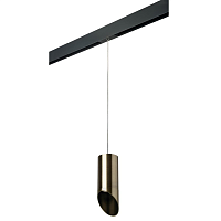 Купить Трековый светильник Lightstar Rullo (214431+595857+201431) PRORP431431 в Туле