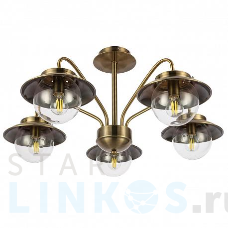 Купить Потолочная люстра Evoluce Garonni SLE110102-05 за 12 640 руб. в Туле фото 2 Купить с доставкой Потолочная люстра Evoluce Garonni SLE110102-05 в Туле фото 2