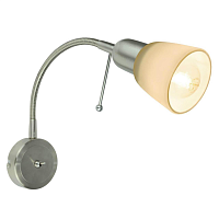 Купить Спот Arte Lamp Lettura A7009AP-1SS в Туле