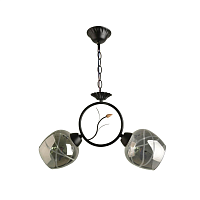 Купить Подвесной светильник Hiper Zolla H173-1 в Туле