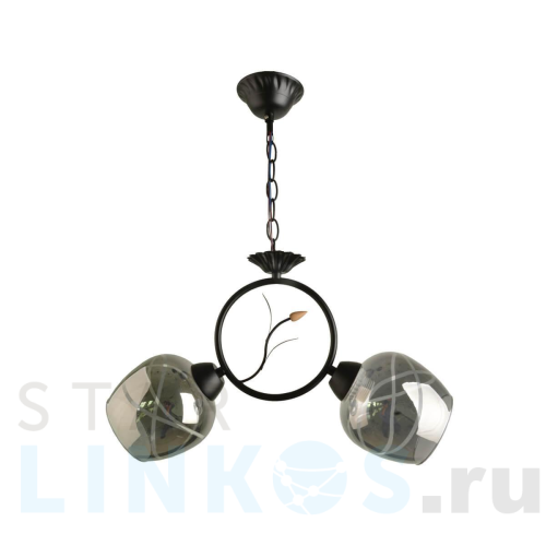 Купить Подвесной светильник Hiper Zolla H173-1 за 2 745 руб. в Туле Купить с доставкой Подвесной светильник Hiper Zolla H173-1 в Туле