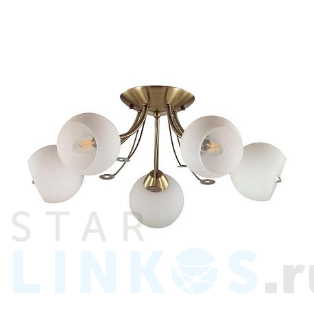 Купить Потолочная люстра Lumion Comfi Tula 5265/5C за 4 700 руб. в Туле фото 2 Купить с доставкой Потолочная люстра Lumion Comfi Tula 5265/5C в Туле фото 2
