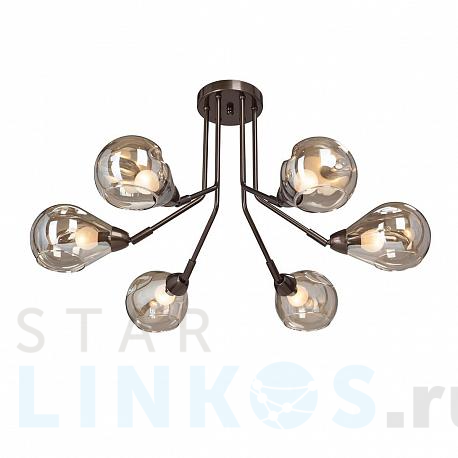 Купить Потолочная люстра Vitaluce V4870-7/6PL за 11 720 руб. в Туле фото 2 Купить с доставкой Потолочная люстра Vitaluce V4870-7/6PL в Туле фото 2