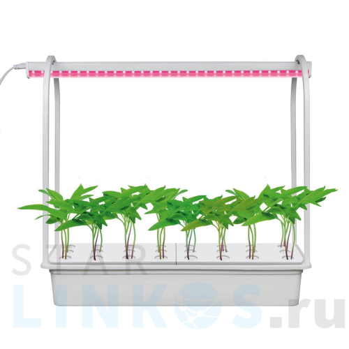 Купить с доставкой Светодиодный светильник для растений Uniel Гидропоника ULT-P44B-10W/SPSB IP40 Aqua Simple White UL-00004498 в Туле