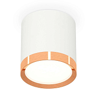 Купить Комплект накладного светильника Ambrella light Techno Spot XS (C8141, N8126) XS8141005 в Туле
