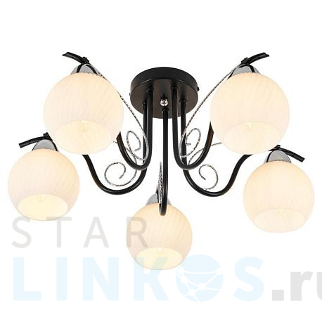 Купить Потолочная люстра MyFar Daniella MR1570-5C за 6 695 руб. в Туле фото 2 Купить с доставкой Потолочная люстра MyFar Daniella MR1570-5C в Туле фото 2