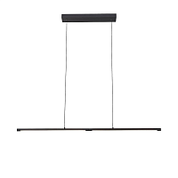 Купить Подвесной светодиодный светильник ST Luce Ralio SL1580.403.01 в Туле