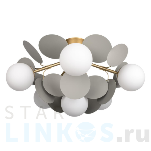 Купить Потолочная люстра Loft IT Matisse 10008/6C Grey за 21 750 руб. в Туле Купить с доставкой Потолочная люстра Loft IT Matisse 10008/6C Grey в Туле