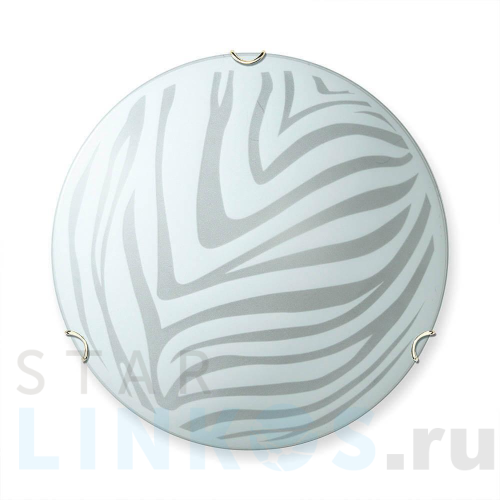 Купить с доставкой Настенно-потолочный светильник Vitaluce V6006/2A в Туле