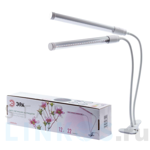 Купить с доставкой Светодиодный светильник для растений ЭРА Fito-20W-Аled-L Б0049550 в Туле