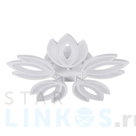 Купить Потолочная светодиодная люстра Natali Kovaltseva Led Lamps 81124 за 10 194 руб. в Туле фото 2 Купить с доставкой Потолочная светодиодная люстра Natali Kovaltseva Led Lamps 81124 в Туле фото 2