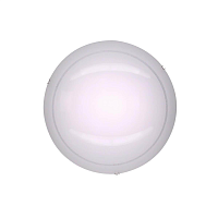 Купить Настенный светильник Citilux Лайн CL918081 в Туле