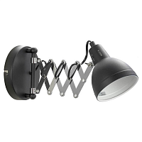 Купить Спот Lussole Loft Koyukuk GRLSP-8049 в Туле