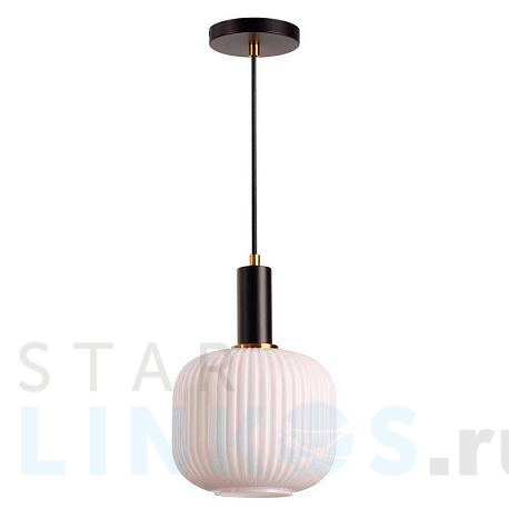 Купить Подвесной светильник Lumion Suspentioni Merlin 4452/1 за 6 200 руб. в Туле фото 2 Купить с доставкой Подвесной светильник Lumion Suspentioni Merlin 4452/1 в Туле фото 2